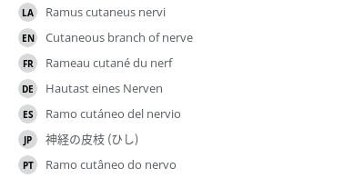 Translations