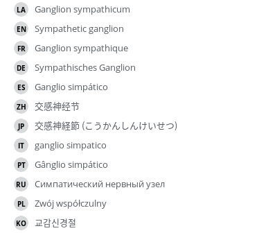 Translations