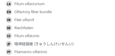 Translations