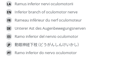 Translations