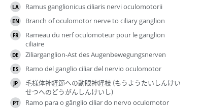 Translations