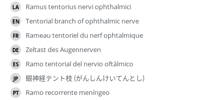 Translations