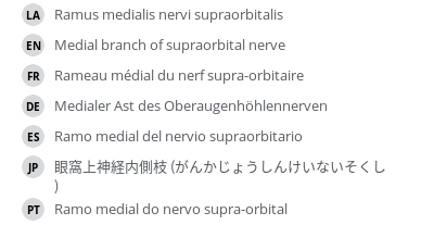 Translations