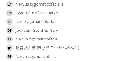 Translations