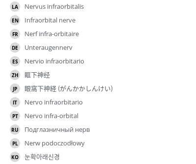 Translations