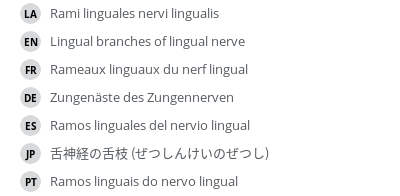 Translations