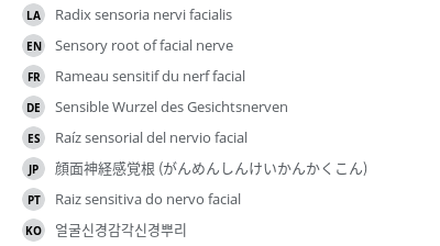 Translations