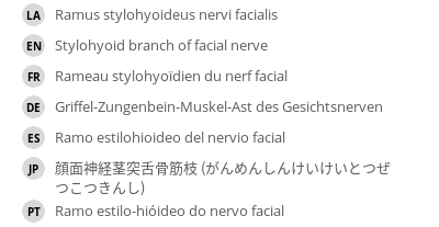 Translations