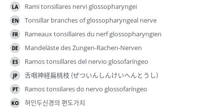 Translations