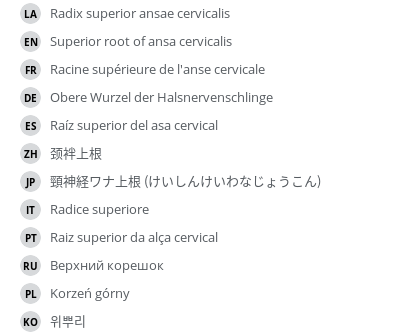 Translations