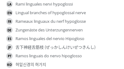 Translations