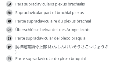 Translations