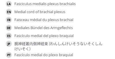 Translations