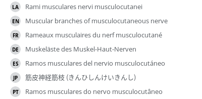 Translations