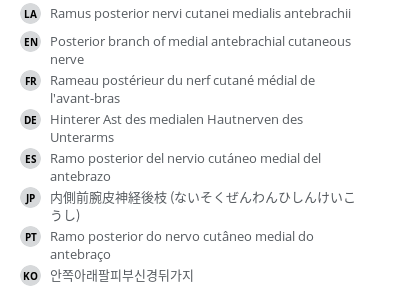 Translations