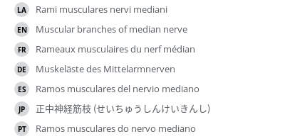 Translations