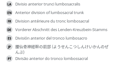 Translations