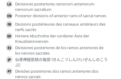 Translations
