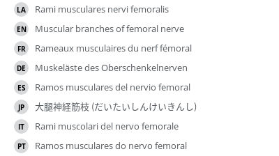 Translations