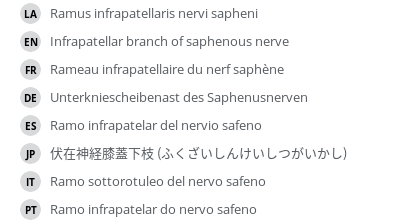 Translations