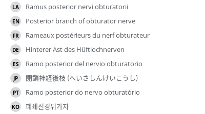 Translations