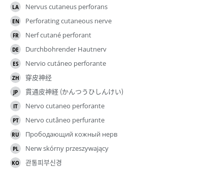 Translations