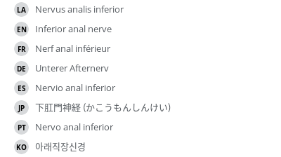 Translations