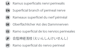 Translations