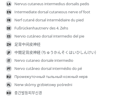 Translations
