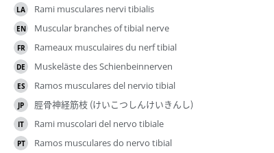 Translations