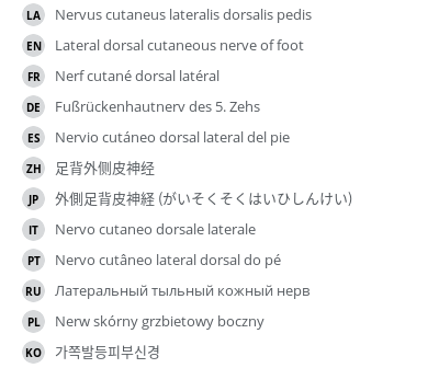 Translations