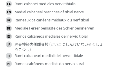 Translations