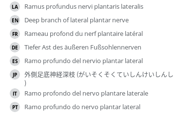 Translations