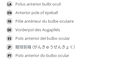 Translations