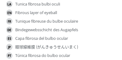 Translations