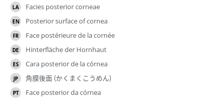Translations
