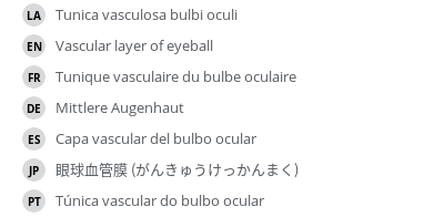 Translations