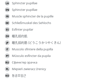 Translations