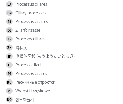 Translations