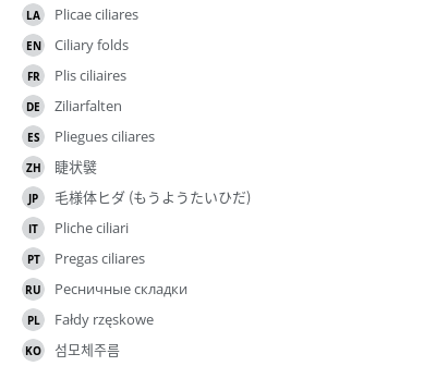 Translations