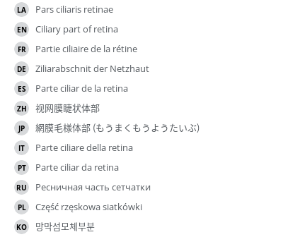 Translations