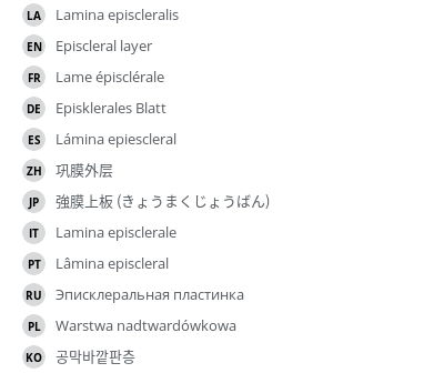 Translations