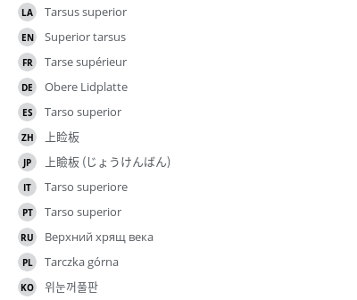 Translations