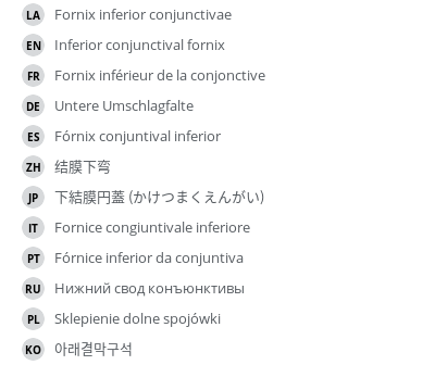 Translations