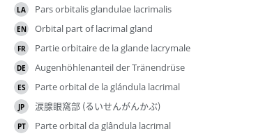 Translations