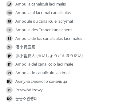 Translations