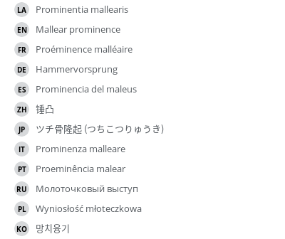 Translations