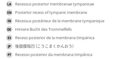 Translations