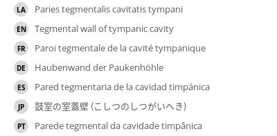 Translations