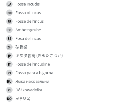 Translations